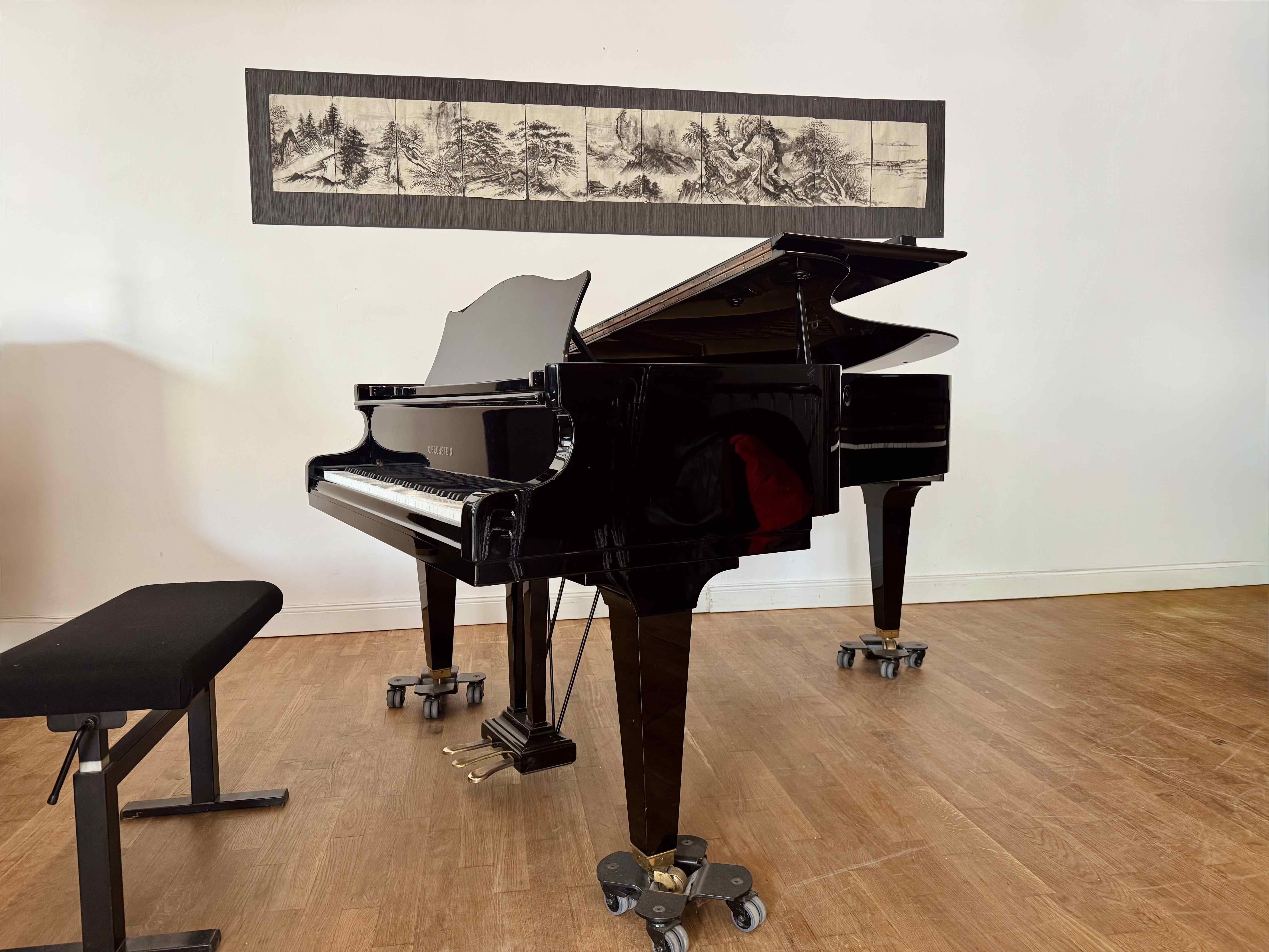 C. Bechstein Mod B